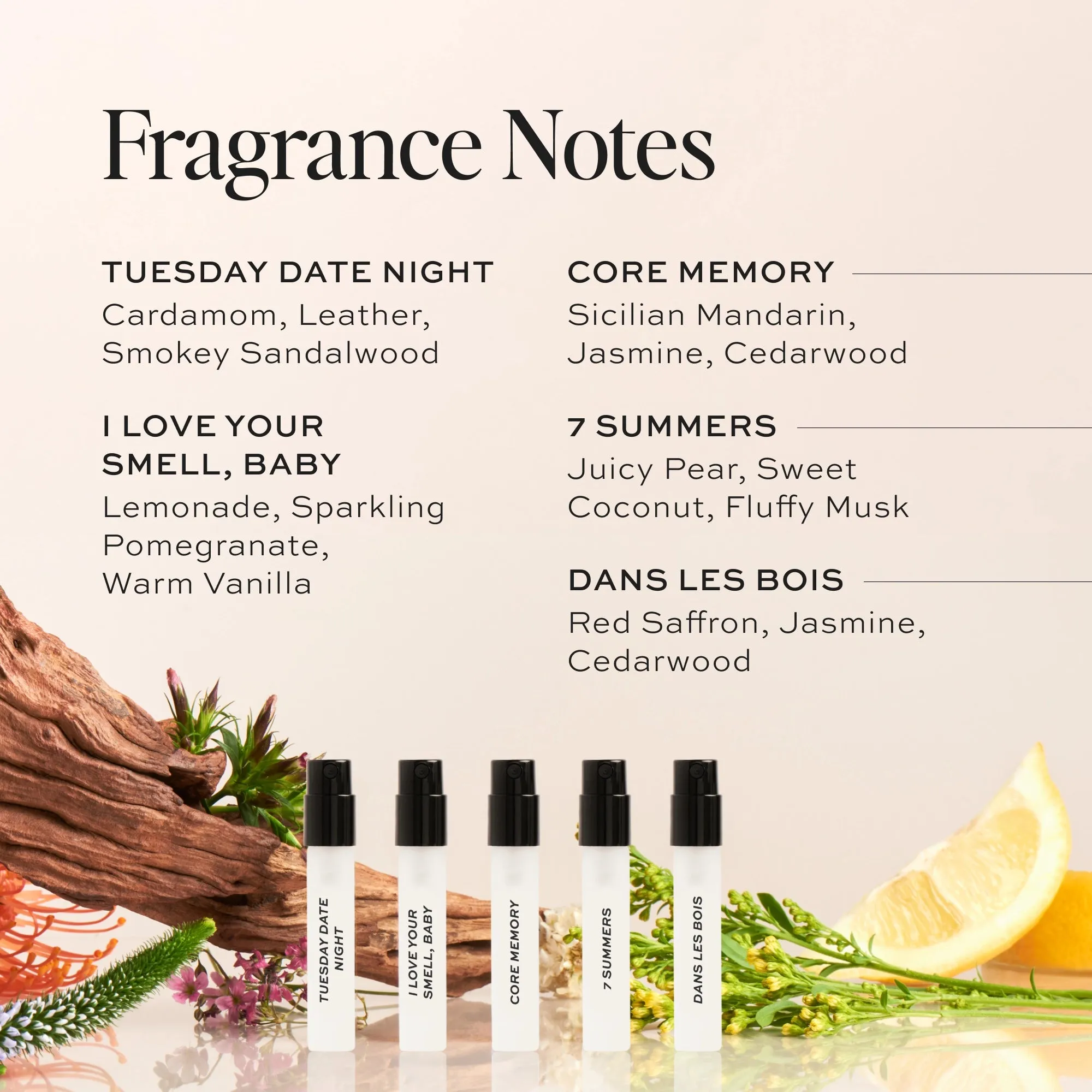Best-Sellers Perfume Sample Kit