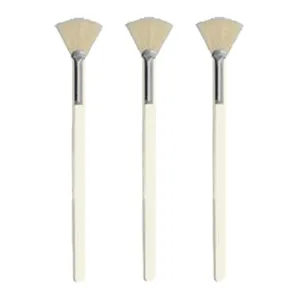 Fan Brush - Set of 3