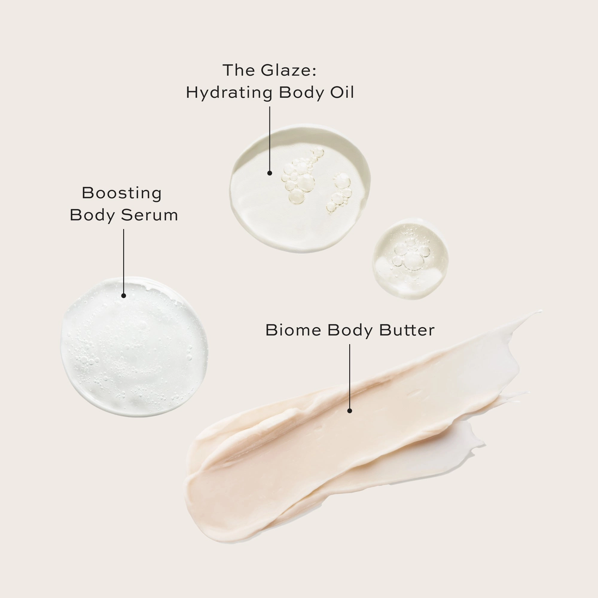 The Body Discovery Set